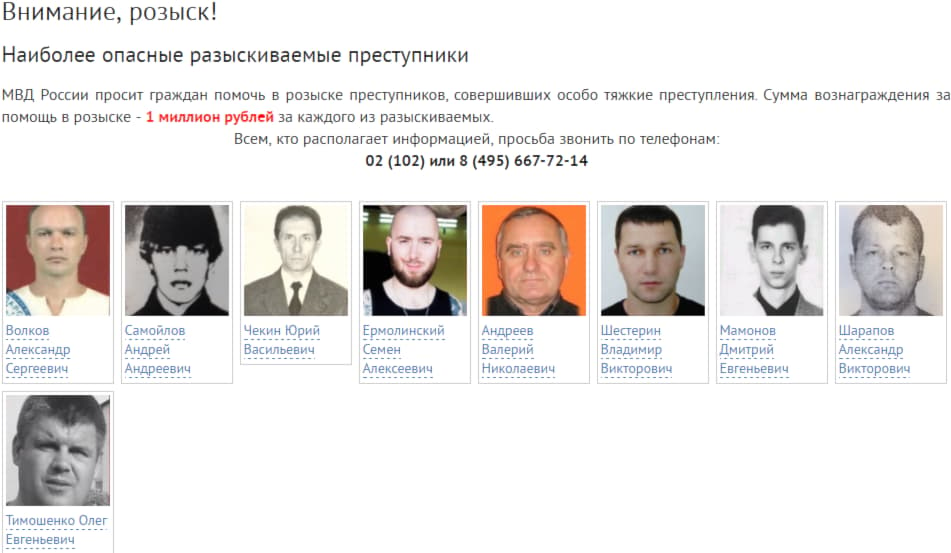 МВД опубликовало список самых разыскиваемых злоумышленников Российской Федерации
