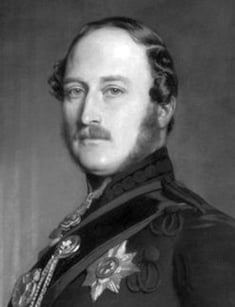 Prince albert