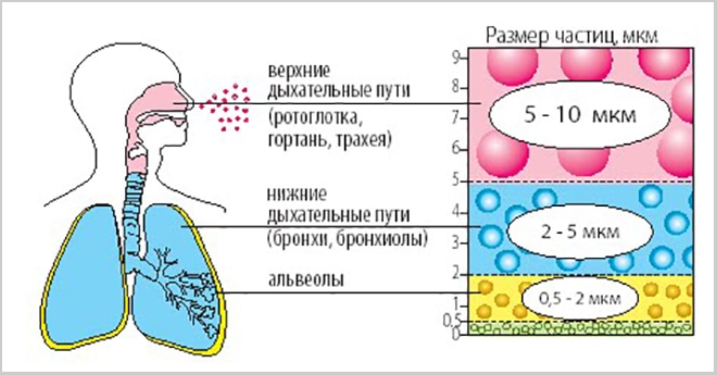 Как действует небулайзер Как действует небулайзер