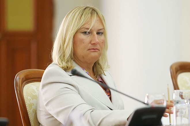 Предприниматель Елена Батурина Предприниматель Елена Батурина