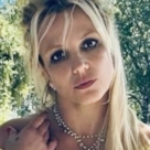 Рыдала на допросе: Бритни Спирс арестована после полицейской погони