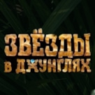 Обзор 12 выпуска "Звезды в джунглях": кто прорвался в полуфинал