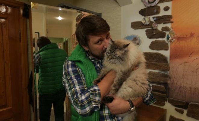 Виктор Логинов в передаче «Планета кошек» Виктор Логинов в передаче «Планета кошек»
