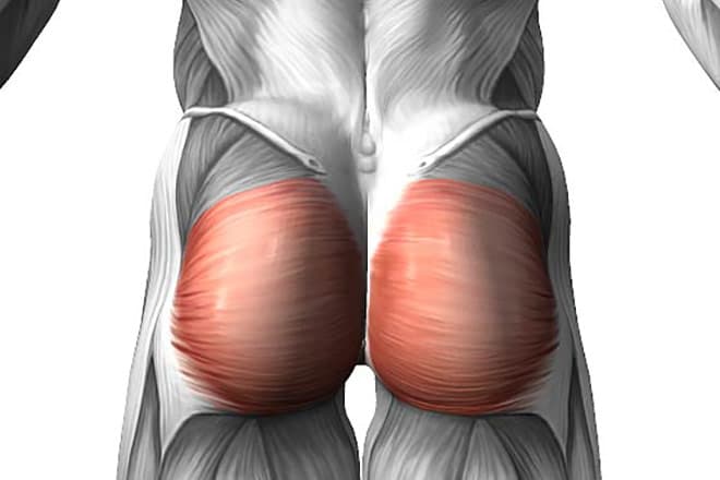 Что такое шейка бедра: анатомия и функции в тазобедренном суставе