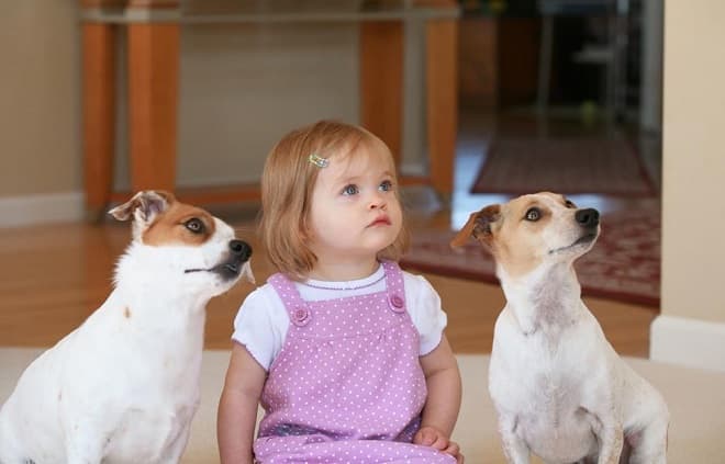 Учёные не выявили связи между здоровьем детей и домашними животными
