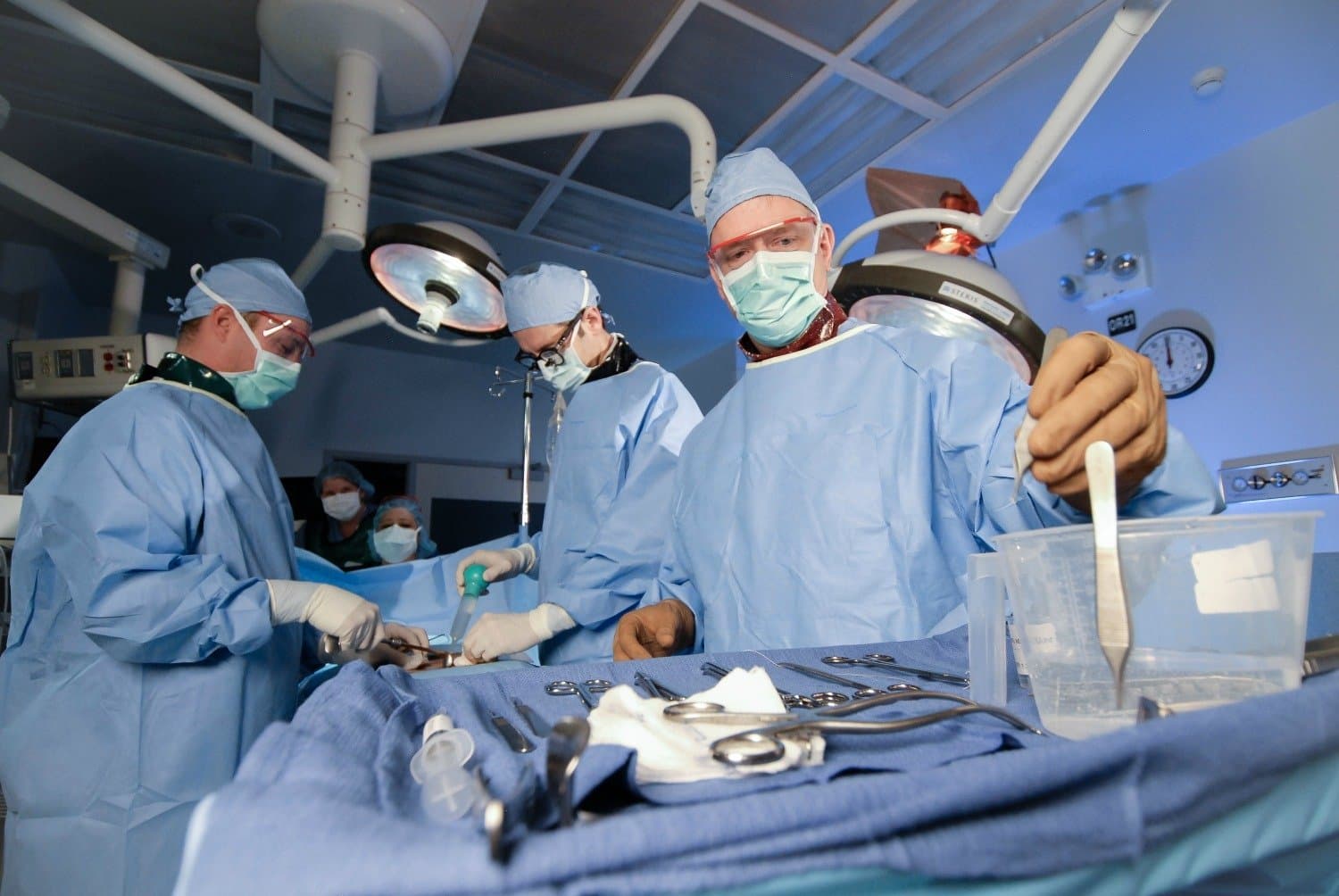 Трансплантация органов от живого донора. Отсроченная операция.