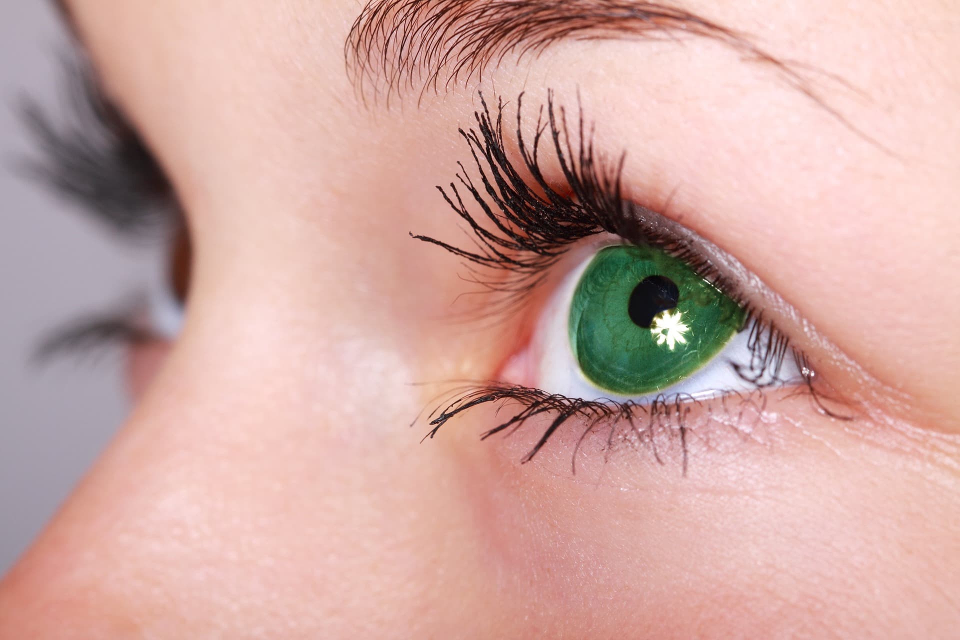 Самый редкий цвет глаз — в мире, у человека, зеленый, фото, в России - 24СМИ