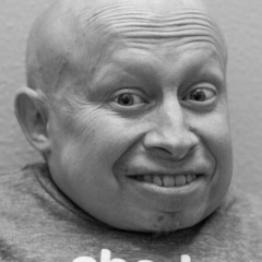 фотография Верн Тройер