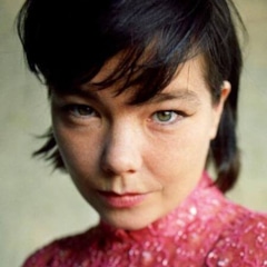 фотография Бьорк