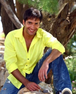 Раду Вулкан