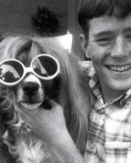 Брайан Крэнстон