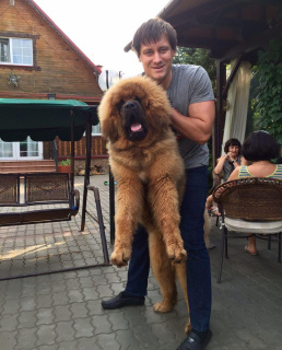 Дмитрий Гудков