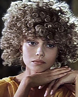 Елена Метелкина