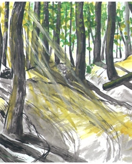 Картина Алексея Зимина