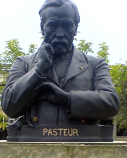 Памятник Луи Пастера