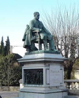 Памятник Луи Пастера