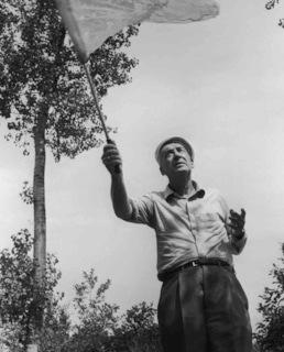 Владимир Набоков