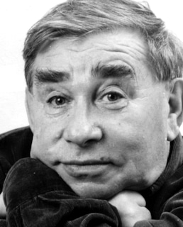 Михаил Светин