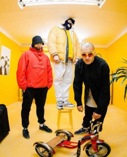 Группа "Грибы"