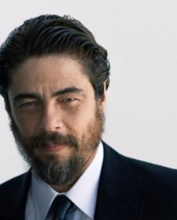 Бенисио Дель Торо