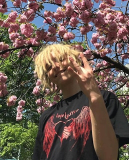 Дреды Лила Морти