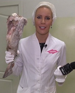 Елена Летучая, «Ревизорро»