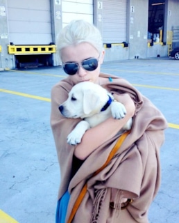 Мика Ньютон