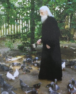 Николай Гурьянов кормит кур