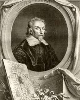 Портрет Уильяма Гарвея