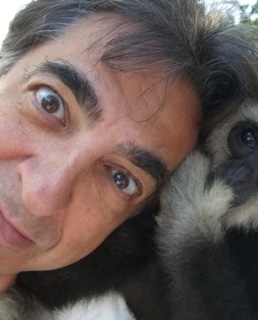 Джо Мантенья