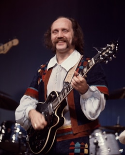 Владимир Мулявин на сцене