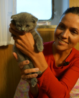 Анастасия Чернобровина с котенком