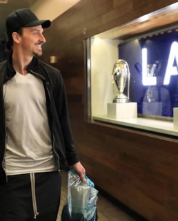 Златан Ибрагимович