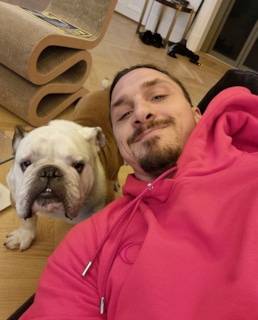 Златан Ибрагимович