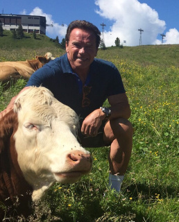 Арнольд Шварценеггер