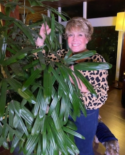 Сюзана Виейра