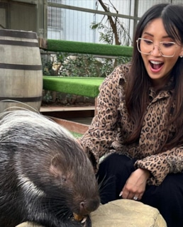 Бренда Сонг