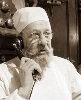 Профессор Преображенский