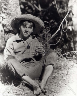 Гекльберри Финн