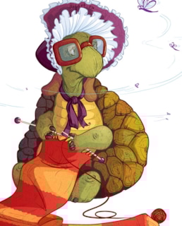 Черепаха Тортилла