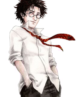 Джеймс Поттер в юности