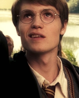 Джеймс Поттер в юности