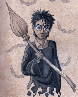 Джеймс Поттер в юности