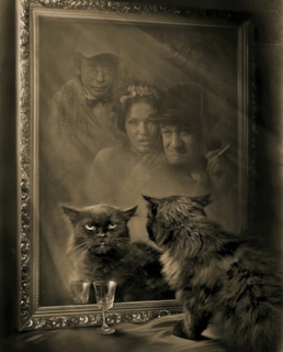 Кот Бегемот