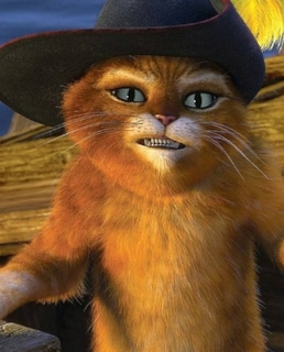 Кот в сапогах