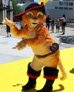 Кот в сапогах