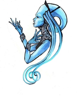 Плавалагуна