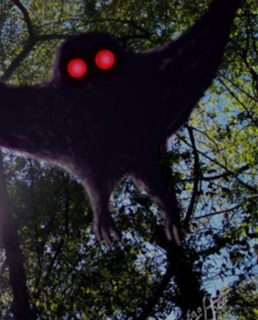 Человек-мотылек