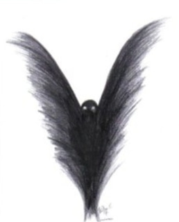 Человек-мотылек