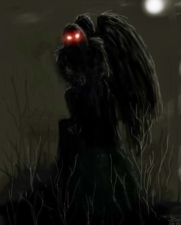 Человек-мотылек